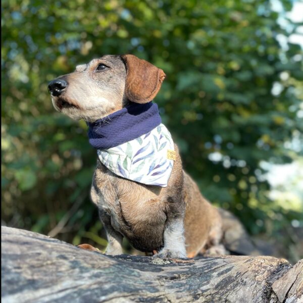 Bestickbares Bandana Hundehalstuch Seegras zum knoten – Bild 6